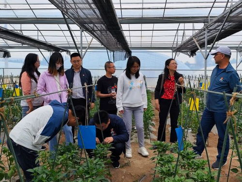 牢記使命擔當 勇攀科技高峰 西北高原所農業中心黨支部與青海大學農林科學院園藝所黨支部聯學聯建主題黨日活動紀實