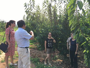 西北農林科技大學園藝學院 農業園藝服務的創新與實踐