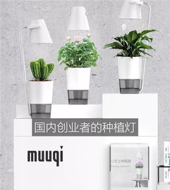 日本花卉展暨園藝和農業新零售高端論壇開幕在即 農業園藝服務的新機遇