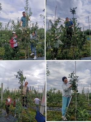 黨建引領強服務 道德講堂潤初心——寶雞市園藝站開展道德講堂及主題黨日活動