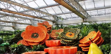 一腔熱血的“田園夢”如何變為“失樂園”？——河南某農旅項目失敗案例剖析