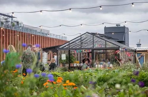 智能溫室材料成本解析 高性價比建設方案與農業園藝服務優化