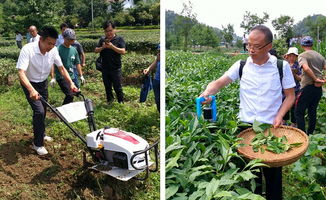 西北農林科技大學園藝學院 引領農業園藝服務創新，助力鄉村振興與現代農業發展