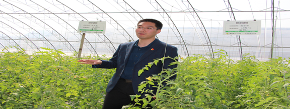 壽光采訪記 種子的“革命”與農業園藝服務的現代化轉型