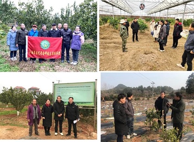 科技助力有作為 情系園藝顯擔當——江西省園藝學會科技服務紀實