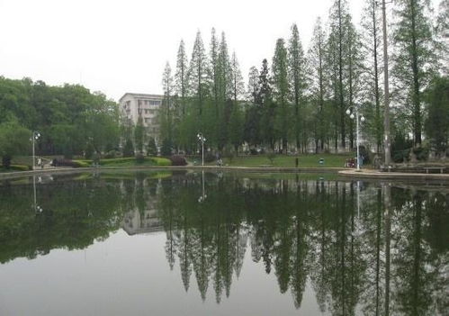 湖南農(nóng)業(yè)大學(xué)園藝園林學(xué)院 以科技與教育引領(lǐng)農(nóng)業(yè)園藝服務(wù)創(chuàng)新