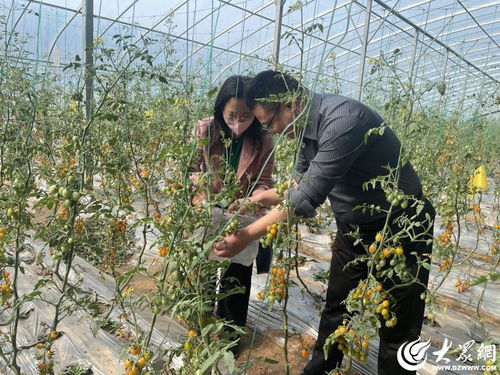 魚(yú)臺(tái)縣檢驗(yàn)檢測(cè)中心赴東營(yíng)開(kāi)展省農(nóng)產(chǎn)品質(zhì)量安全監(jiān)督抽查工作紀(jì)實(shí)