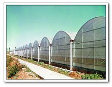 深圳市綠色田園農(nóng)業(yè)科技 引領(lǐng)都市農(nóng)業(yè)新潮，打造智慧園藝服務(wù)典范